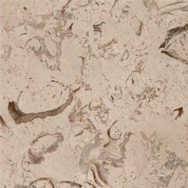 Fossil  beige marble
